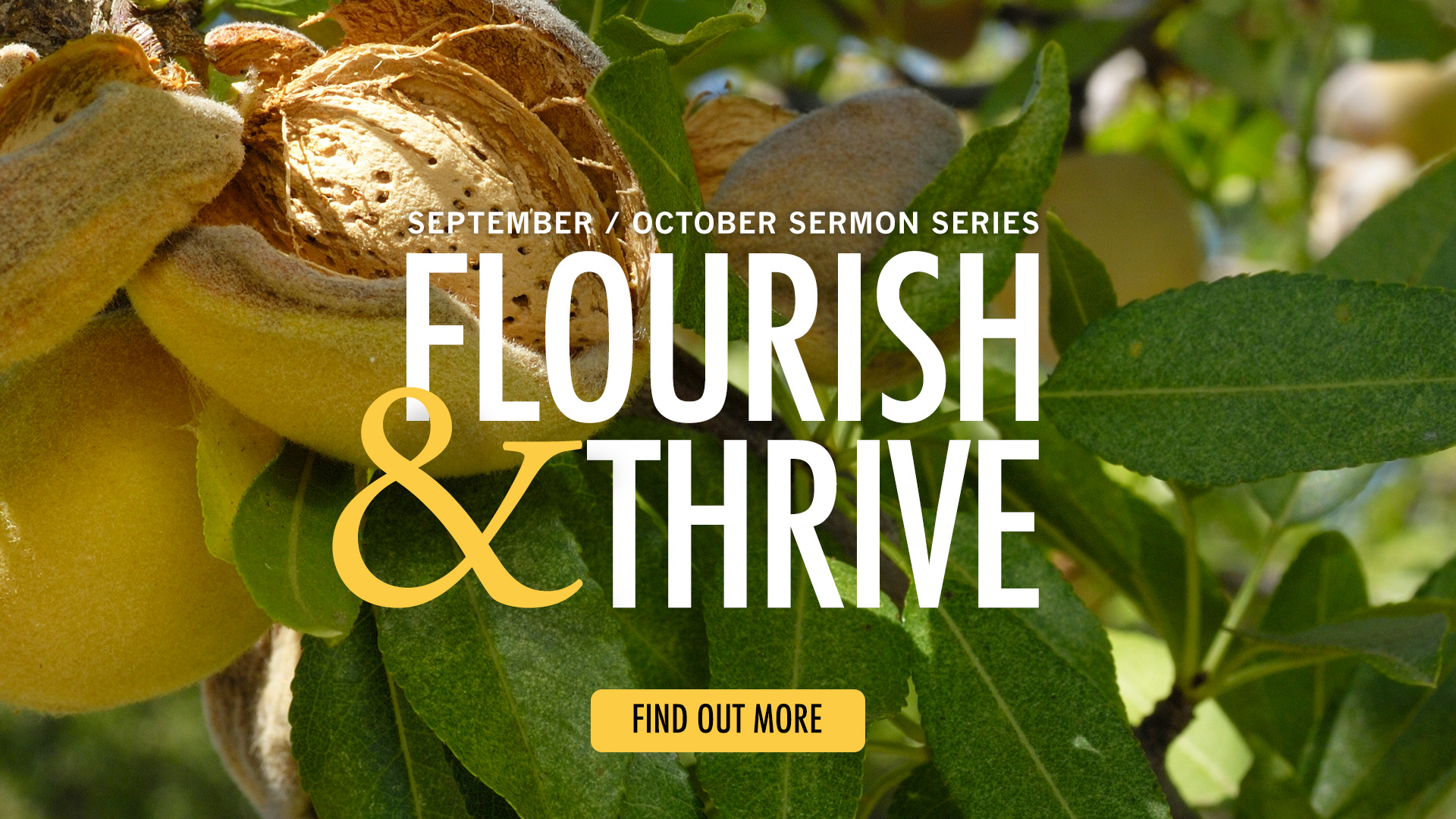 Flourish and Thrive sermon series