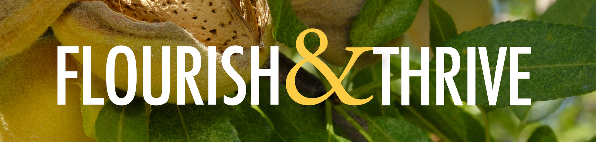 WebBanner-Thrive-and-Flourish